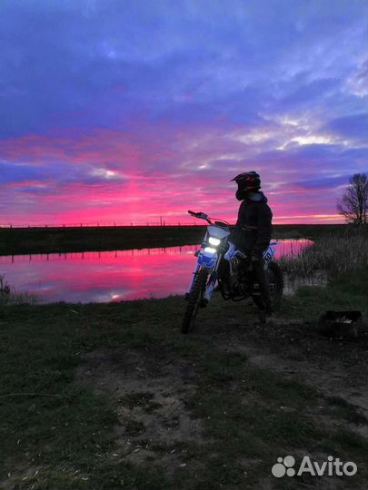 Zuumav fxr250