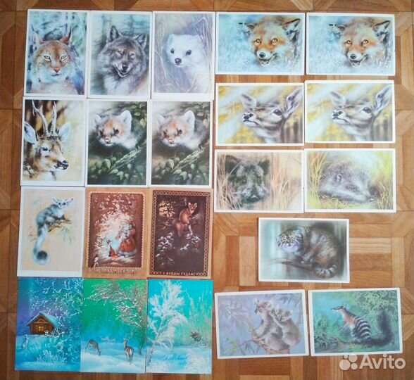 Открытки Исакова подписанные и чистые