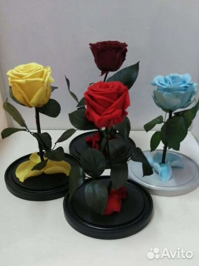 Цветы оптом