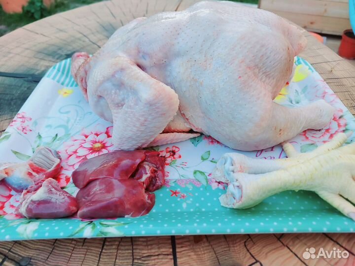 Куры бройлеры мясо тушки