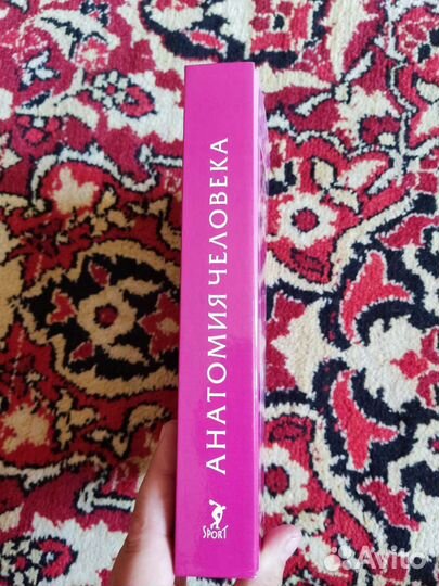 Анатомия человека, автор М.Ф Иваницкий