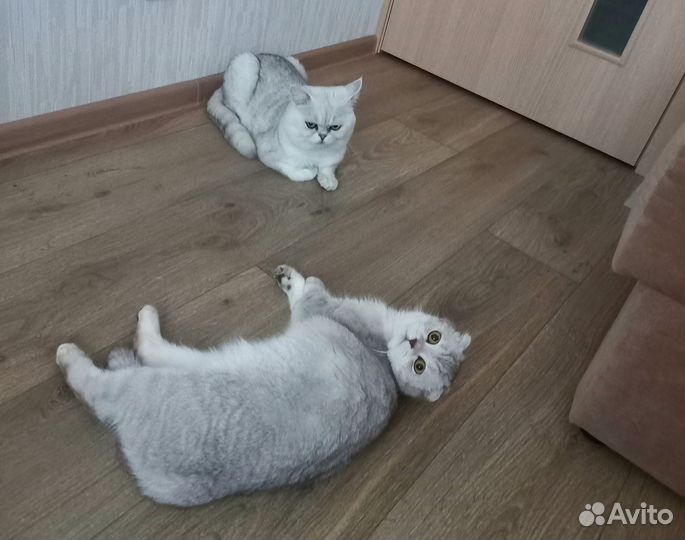 Вязка