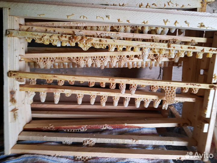 Маточное молочко пчелиное