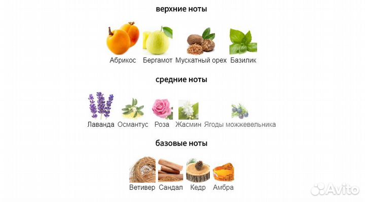 Bois 1920 - Classic 1920