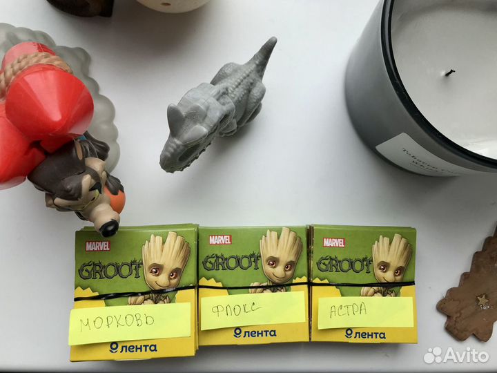 Семена для выращивания Лента groot