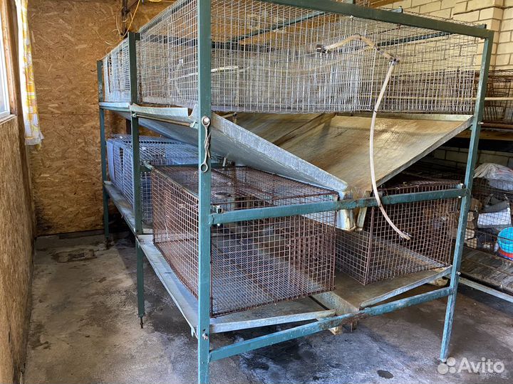 Клетки для кроликов, миниферма