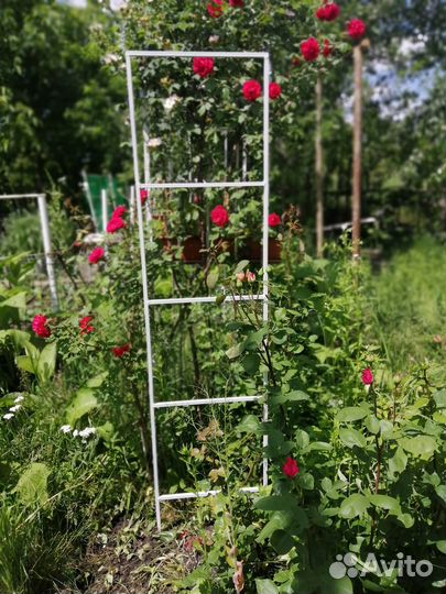 Шпалера для розы