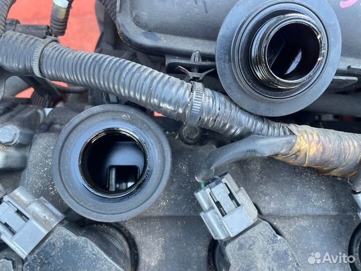 Двигатель Nissan Liberty RM12 QR20DE 2002