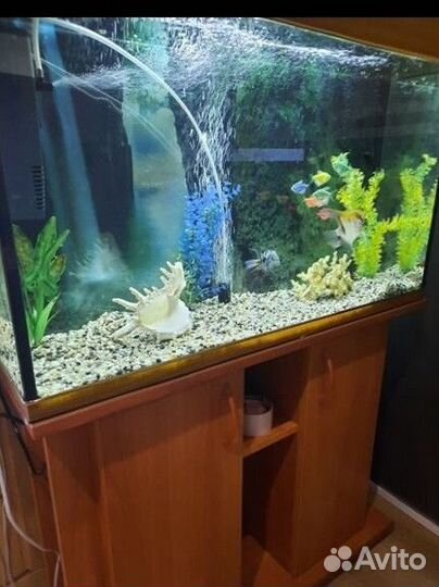 Аквариум с тумбой