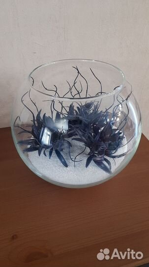 Флорариум композиция