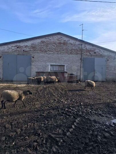 Производство, 5000 м²