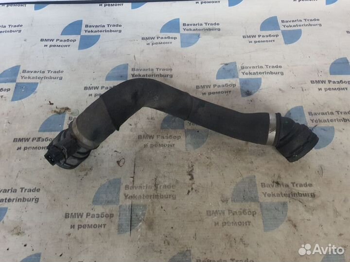 Шланг системы охлаждения нижний BMW M5 F10