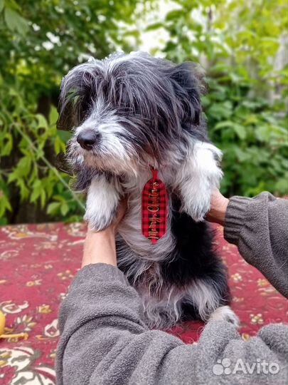 Малыш из приюта ищет семью