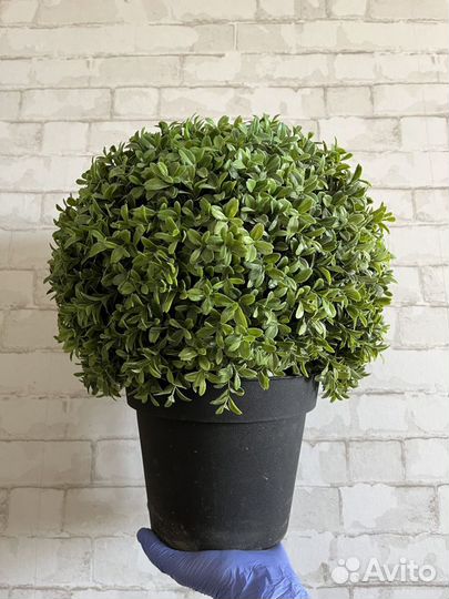 Искусственные растения в горшках