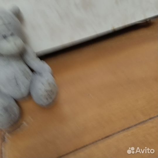 Мишка Тедди