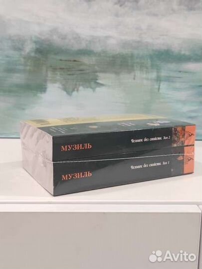 Музиль. Человек без свойств