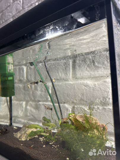 Аквариум с рыбками