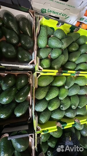Авокадо высший сорт