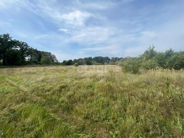 Участок 80 сот. (личное подсобное хозяйство (лпх))