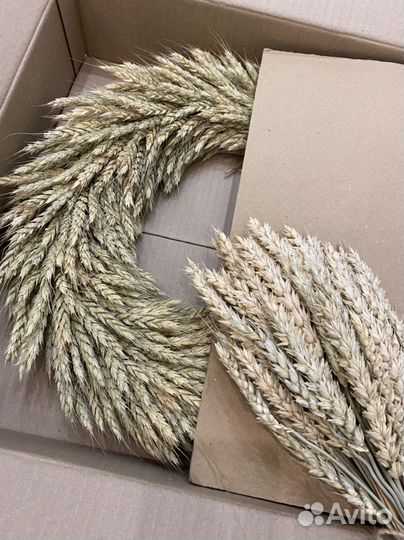 Венок из пшеницы