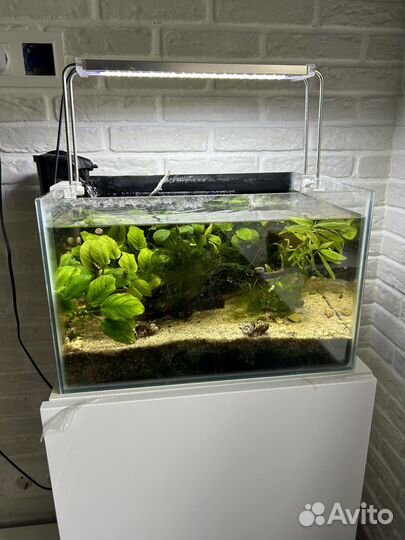 Аквариум
