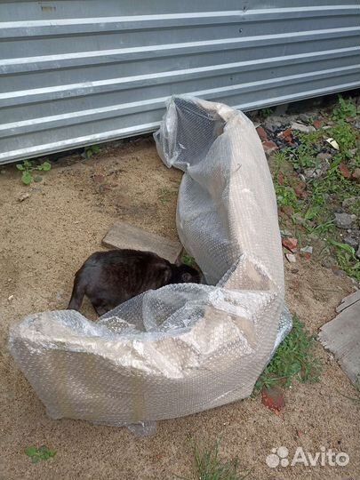 Бампер передний priora