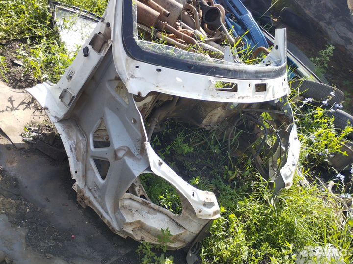 Морда газель