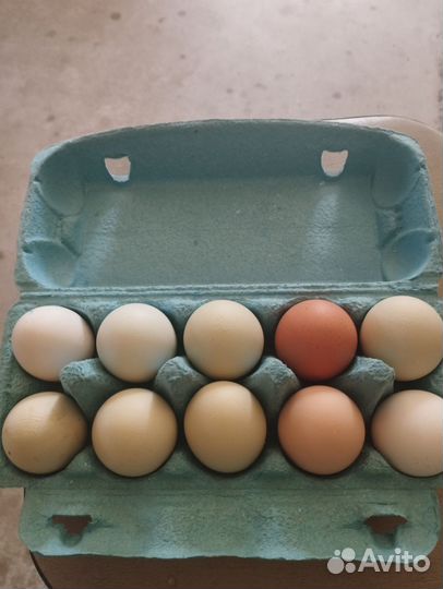 Продукты питания
