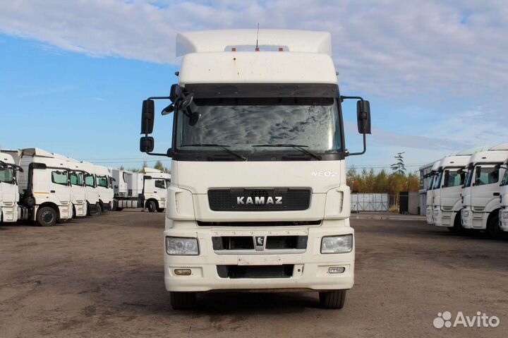 КАМАЗ 5490 NEO 2, 2020