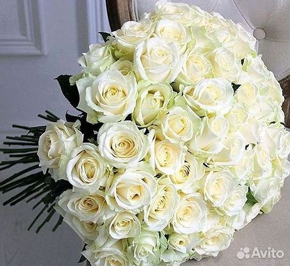 101 роза цветы букеты доставка 25 51 101 роза