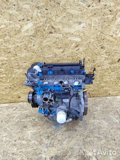 Двигатель pnda Ford Focus 2 1.6 115лс hxda