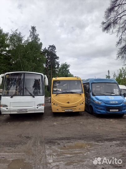 Заказ, аренда, автобуса, микроавтобуса