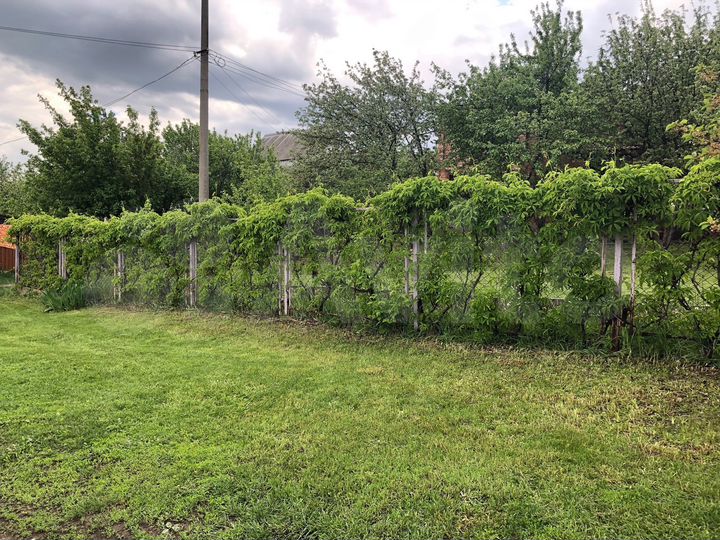 Дача 60 м² на участке 11 сот.