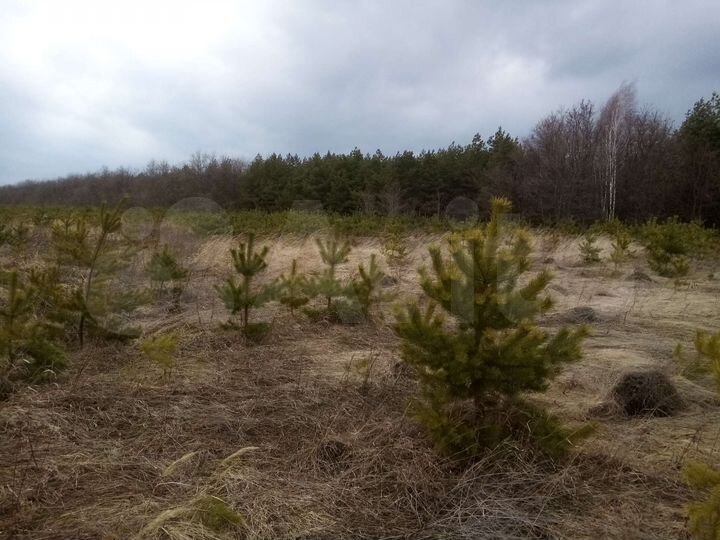 Участок 18,4 га (ИЖС)