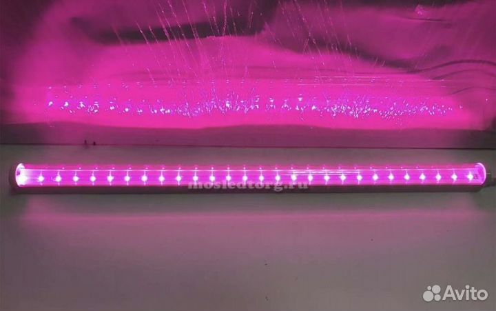 Фитолампа, фитосветильник для рассады, растений