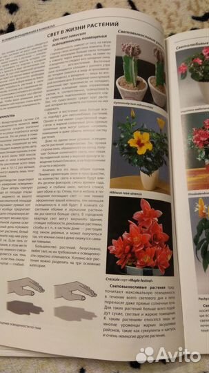 Что мы видели в США и Канаде 1957 г.СССР - США1961