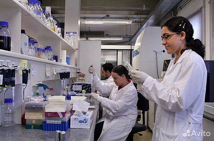 Лаборант в зерновую лабораторию (вахта)