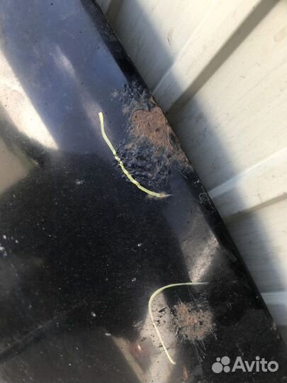 Капот Great Wall Sokol