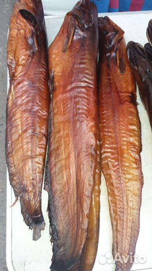 Рыба горячего копчения Арахлейских озëр