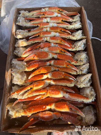 Клешни краба стригуна