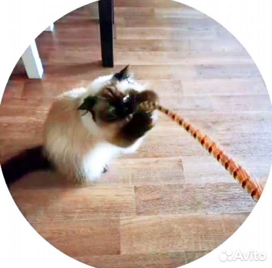 Игрушка для кота