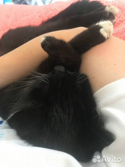 Передержка