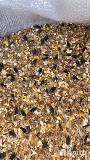 Зерносмесь