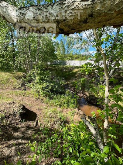 Участок 11,3 сот. (СНТ, ДНП)