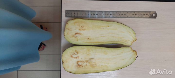 Перец болгарский