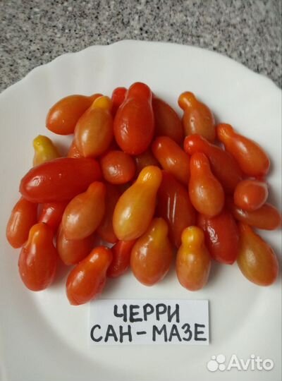 Семена коллекционных сортов томатов