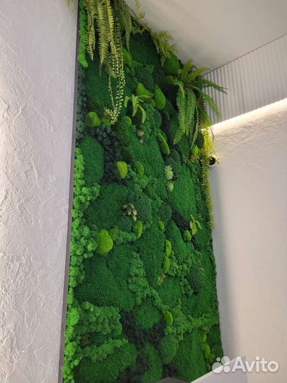 Вертикальное озеленение