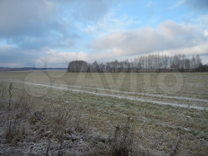 Участок 4,5 га (СНТ, ДНП)