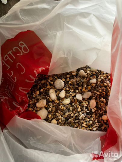 Рыбки, грунт, лимонник