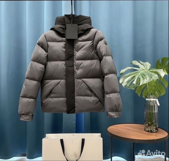 Moncler Madeira новинка